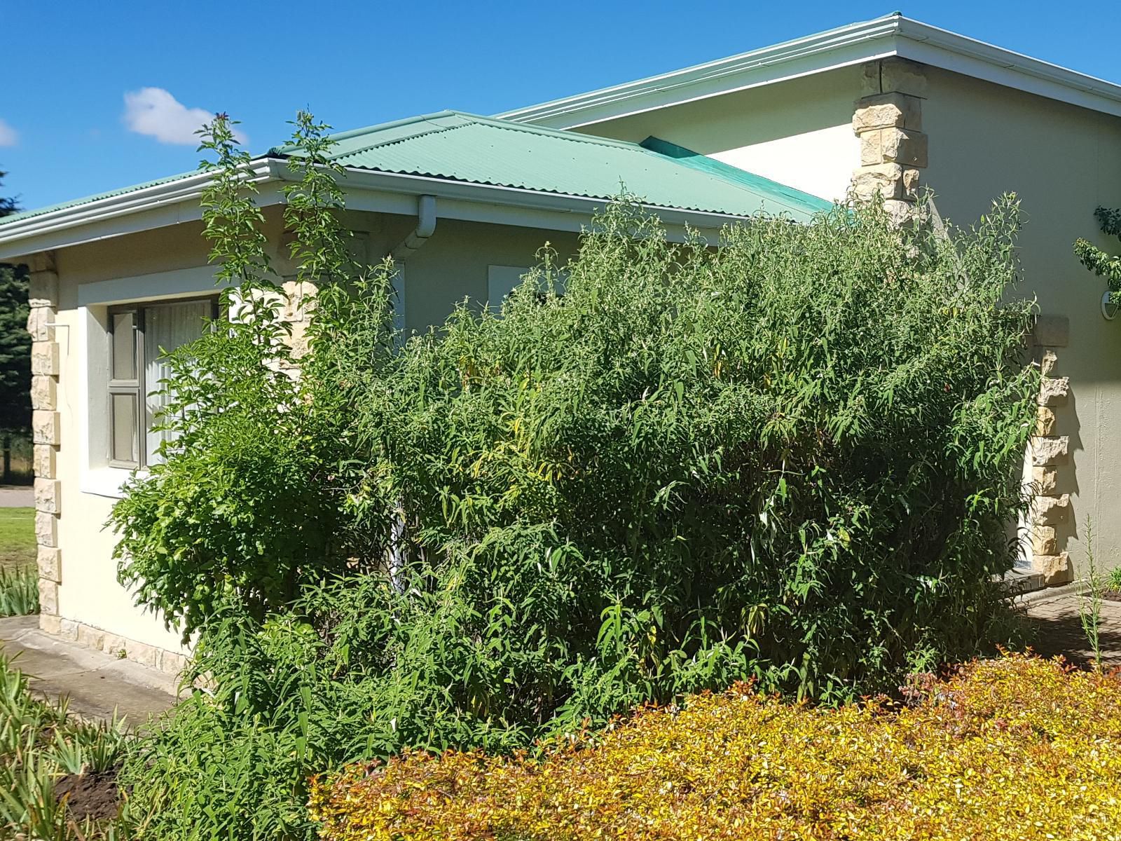 Clarens Golf Villas Clarens Free State South Africa House, Building, Architecture, Garden, Nature, Plant