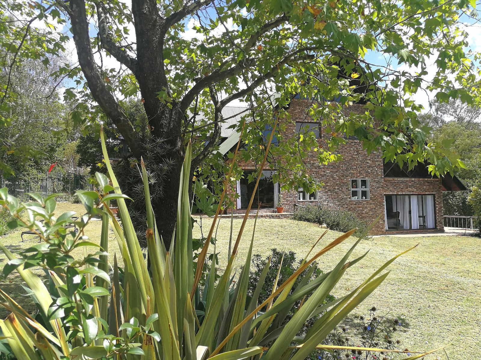 Clarens Lantern Clarens Free State South Africa Building, Architecture, House, Plant, Nature, Tree, Wood, Garden