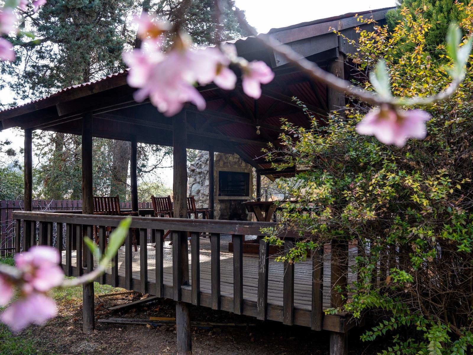 Clarens Log Cabin Clarens Free State South Africa Plant, Nature