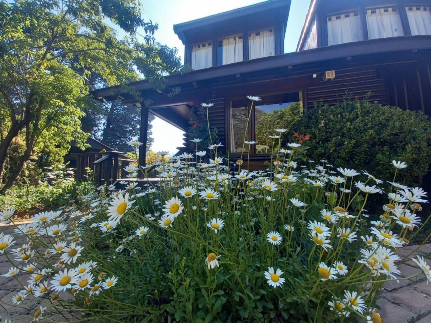 Clarens Log Cabin Clarens Free State South Africa Flower, Plant, Nature