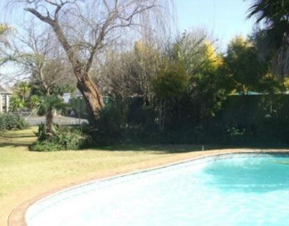 Classic Stays Irenepark Klerksdorp North West Province South Africa Complementary Colors, Palm Tree, Plant, Nature, Wood, Garden, Swimming Pool