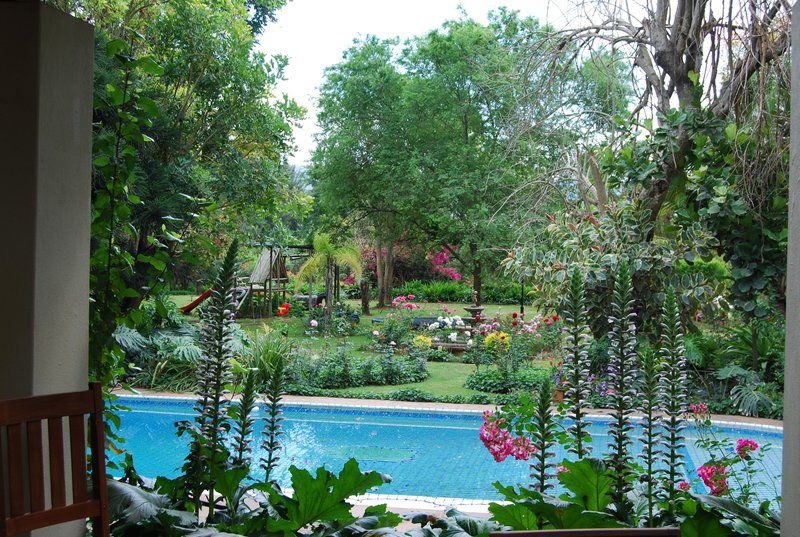 Cleveland Bandb Kirkwood Eastern Cape South Africa Plant, Nature, Garden, Swimming Pool