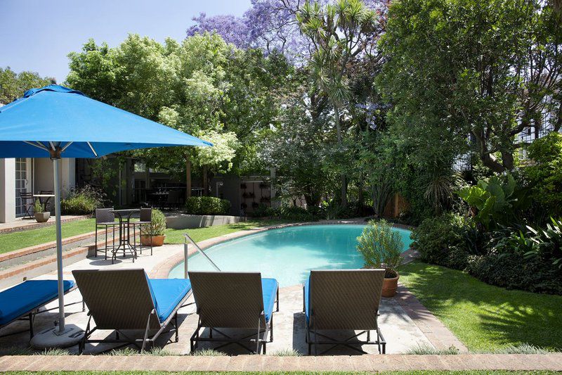 Clico Boutique Hotel Rosebank Johannesburg Gauteng South Africa Complementary Colors, Garden, Nature, Plant, Swimming Pool