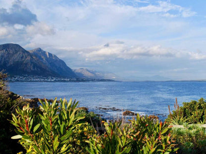 Cliff Cottage Bandb Westcliff Hermanus Hermanus Western Cape South Africa Complementary Colors, Mountain, Nature