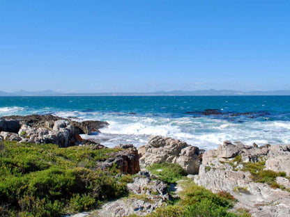 Cliff Cottage Bandb Westcliff Hermanus Hermanus Western Cape South Africa Beach, Nature, Sand, Ocean, Waters