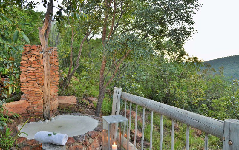 Clifftop Exclusive Safari Hideaway Vaalwater Limpopo Province South Africa Tree, Plant, Nature, Wood, Garden
