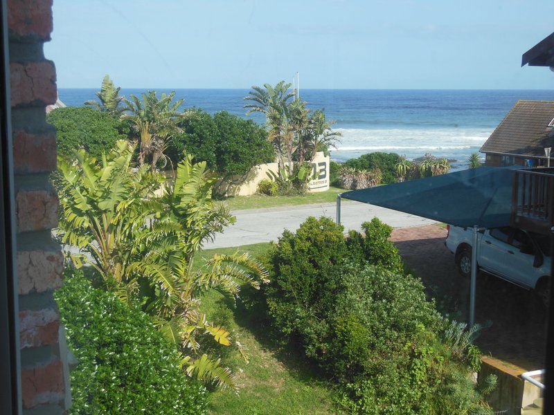 Clivia Cove Seaview Port Elizabeth Eastern Cape South Africa Complementary Colors, Beach, Nature, Sand, Palm Tree, Plant, Wood