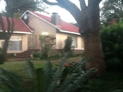 Clivia Cottage Florida Hills Johannesburg Gauteng South Africa Building, Architecture, House, Palm Tree, Plant, Nature, Wood, Window, Garden