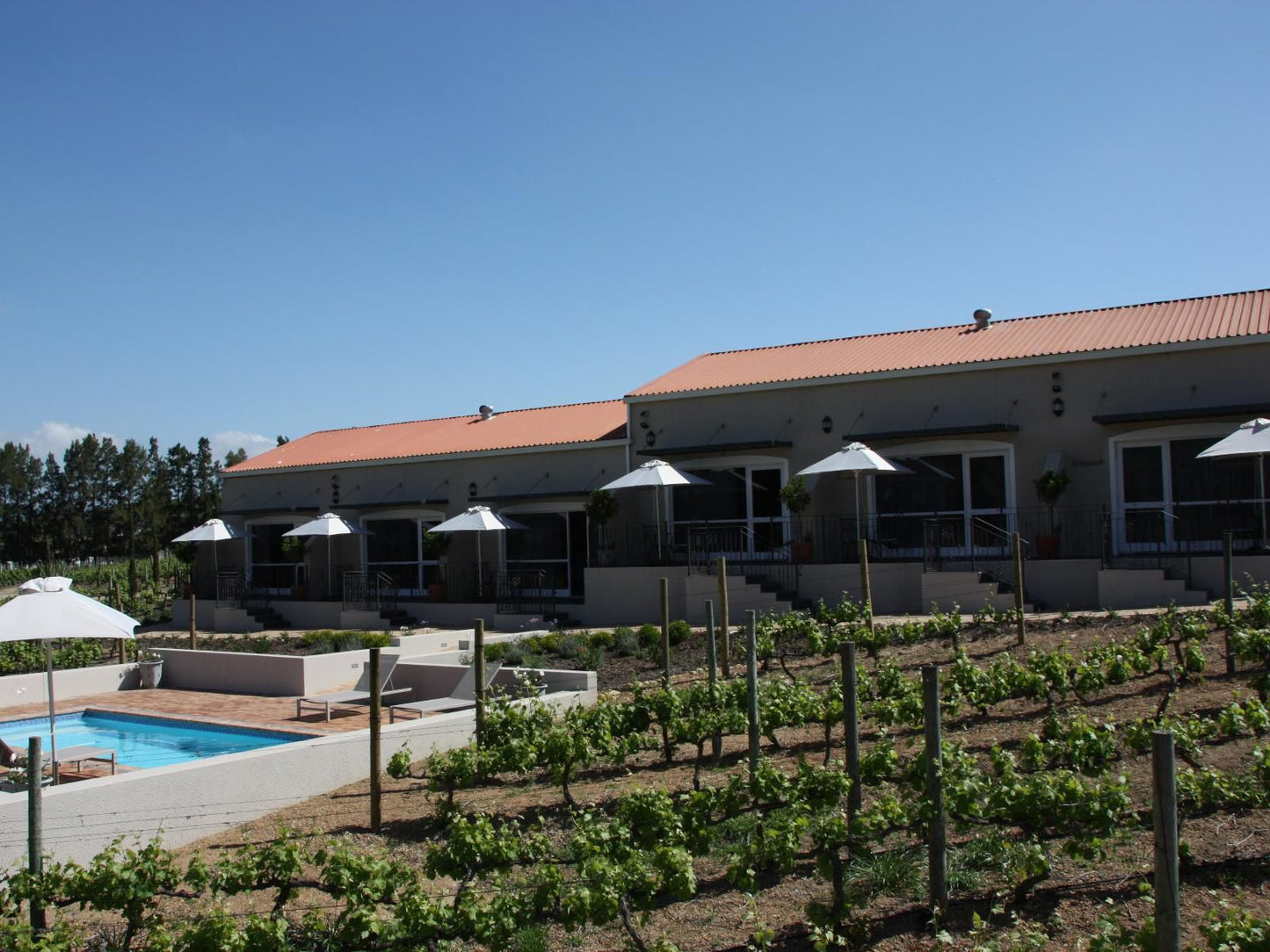 Clos Malverne Wine Estate Accommodation Devonvallei Stellenbosch Western Cape South Africa 