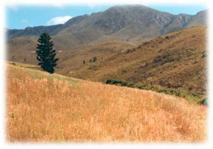 Cloud Cottage Uniondale Western Cape South Africa Tree, Plant, Nature, Wood