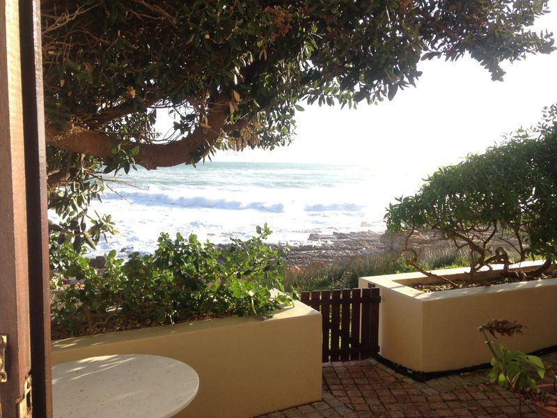 Coastal Haven Misty Cliffs Cape Town Western Cape South Africa Beach, Nature, Sand, Palm Tree, Plant, Wood