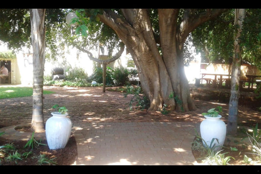 Cock And Bull Hartbeespoort Dam Hartbeespoort North West Province South Africa Palm Tree, Plant, Nature, Wood, Garden