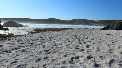 Cockleshell Beach House Grotto Bay Western Cape South Africa Beach, Nature, Sand, Desert
