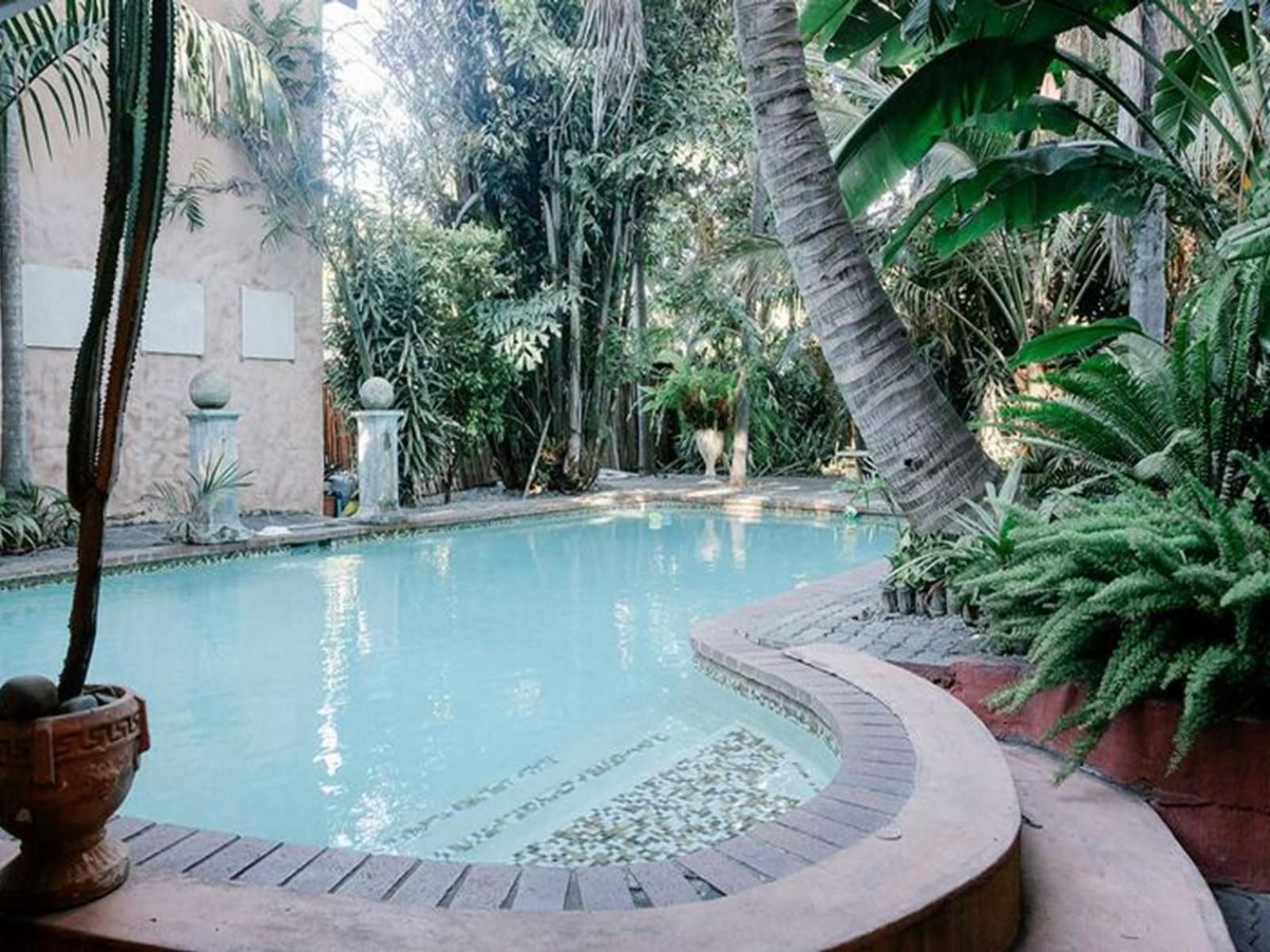 Cococabana Guest House Pongola Kwazulu Natal South Africa Palm Tree, Plant, Nature, Wood, Garden, Swimming Pool