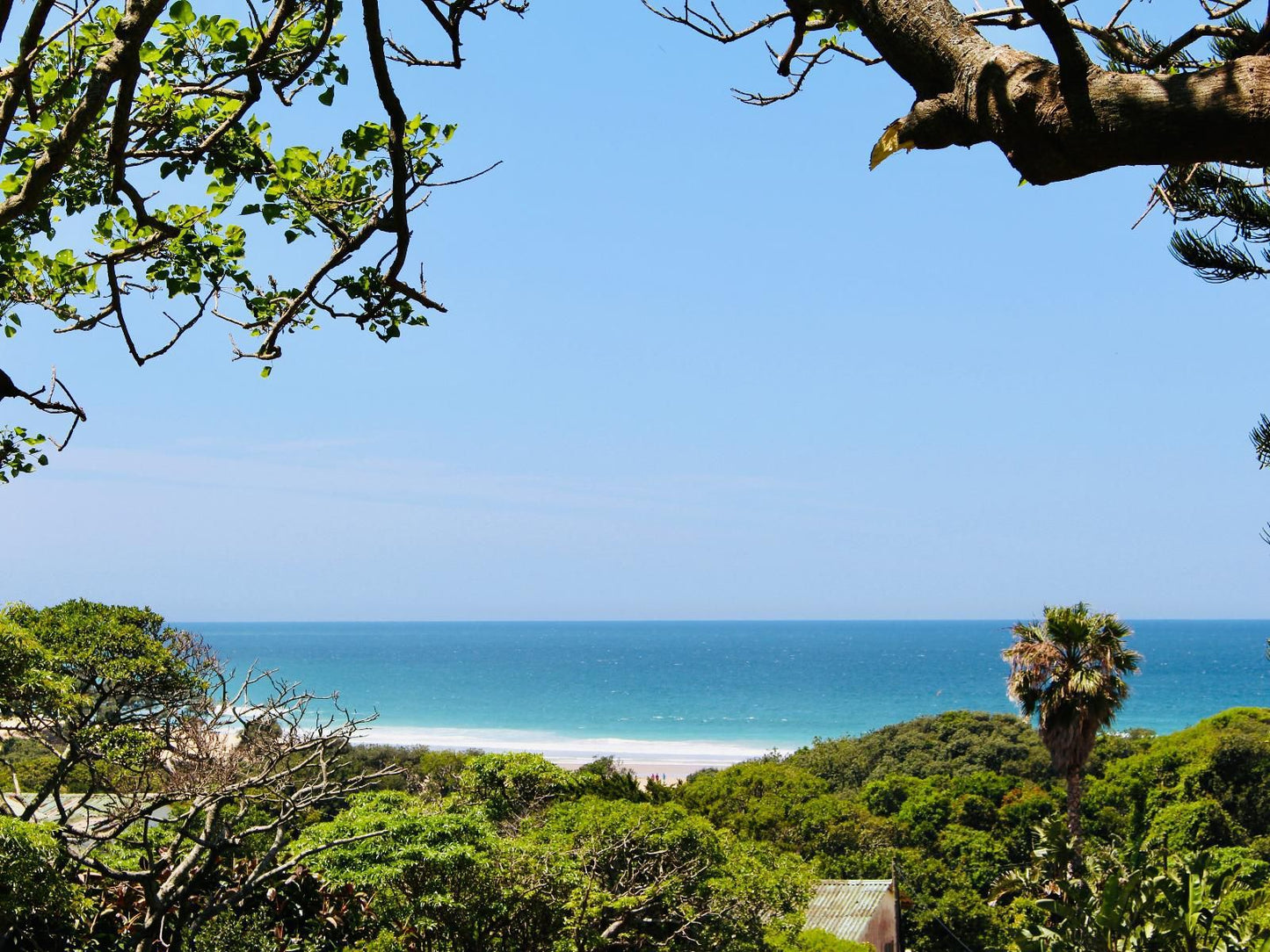 Coffee Bay Lodge Coffee Bay Eastern Cape South Africa Complementary Colors, Beach, Nature, Sand, Palm Tree, Plant, Wood