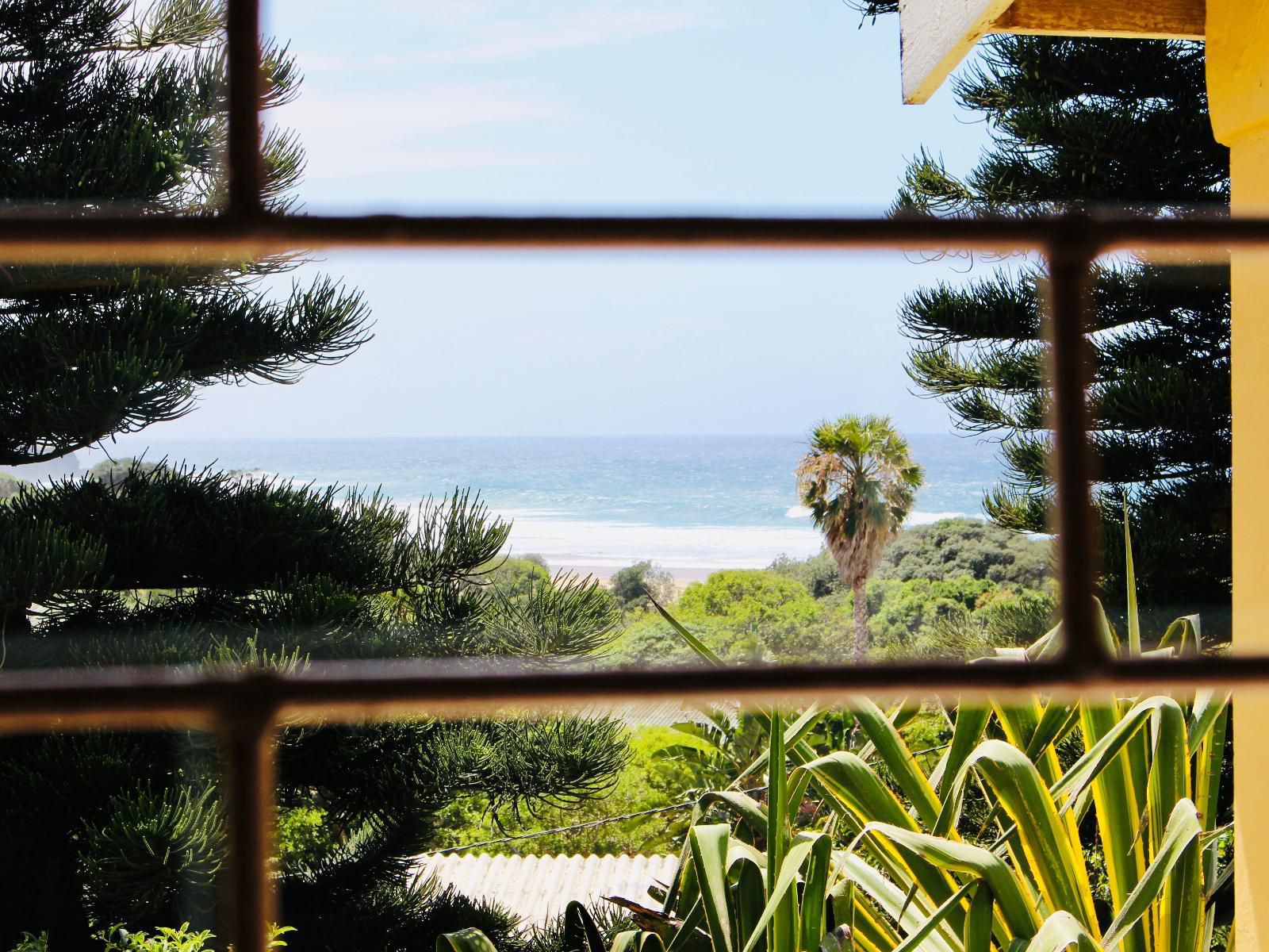 Coffee Bay Lodge Coffee Bay Eastern Cape South Africa Complementary Colors, Beach, Nature, Sand, Palm Tree, Plant, Wood, Framing