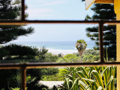 Coffee Bay Lodge Coffee Bay Eastern Cape South Africa Complementary Colors, Beach, Nature, Sand, Palm Tree, Plant, Wood, Framing