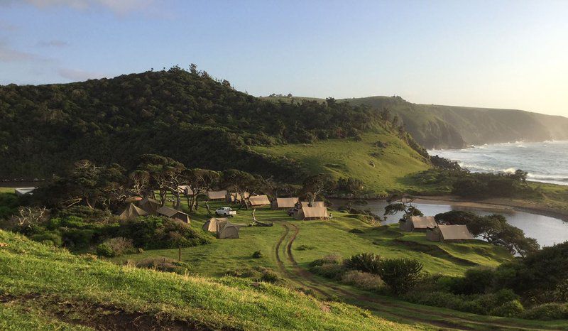 Coffee Bay Pop Up Camp Coffee Bay Eastern Cape South Africa Complementary Colors, Beach, Nature, Sand, Cliff, Highland