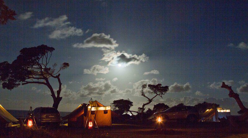 Coffee Bay Pop Up Camp Coffee Bay Eastern Cape South Africa Sky, Nature, Tent, Architecture, Moon