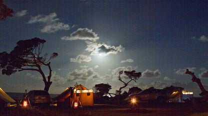 Coffee Bay Pop Up Camp Coffee Bay Eastern Cape South Africa Sky, Nature, Tent, Architecture, Moon