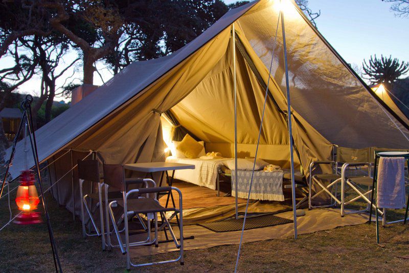 Coffee Bay Pop Up Camp Coffee Bay Eastern Cape South Africa Tent, Architecture