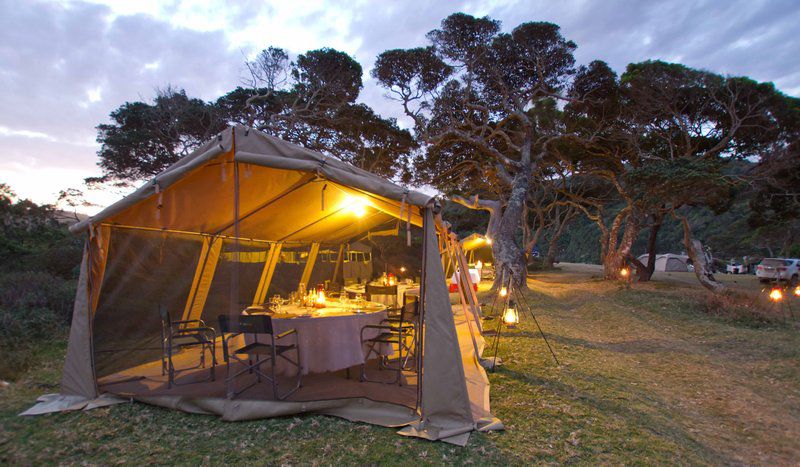 Coffee Bay Pop Up Camp Coffee Bay Eastern Cape South Africa Tent, Architecture