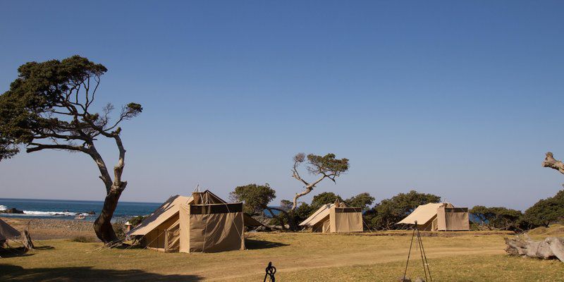 Coffee Bay Pop Up Camp Coffee Bay Eastern Cape South Africa Complementary Colors, Beach, Nature, Sand, Tent, Architecture, Framing