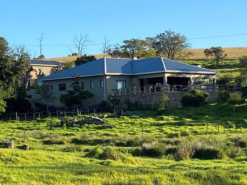 Coldsprings Guest Farm Grahamstown Eastern Cape South Africa Complementary Colors, House, Building, Architecture