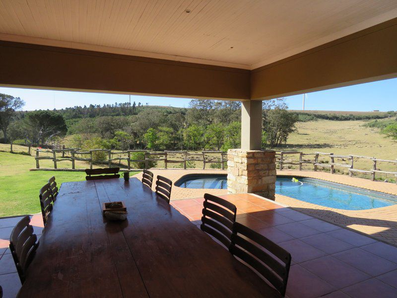 Coldsprings Guest Farm Grahamstown Eastern Cape South Africa Swimming Pool