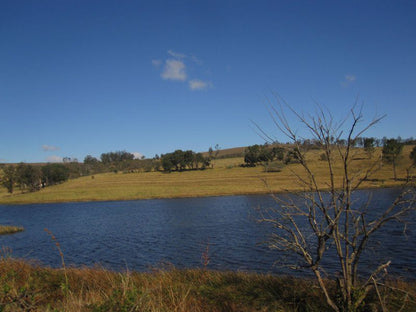 Coldsprings Guest Farm Grahamstown Eastern Cape South Africa River, Nature, Waters