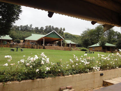 Coleford Lodge Underberg Underberg Kwazulu Natal South Africa 