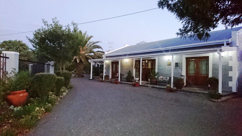 Coles Corner Colesberg Northern Cape South Africa House, Building, Architecture, Palm Tree, Plant, Nature, Wood