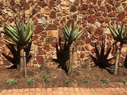 Colonial Guest House Irene Centurion Gauteng South Africa Cactus, Plant, Nature, Pineapple, Fruit, Food, Garden