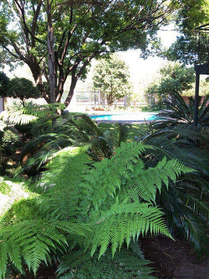 Colonial Guest House Irene Centurion Gauteng South Africa Plant, Nature, Tree, Wood, Garden
