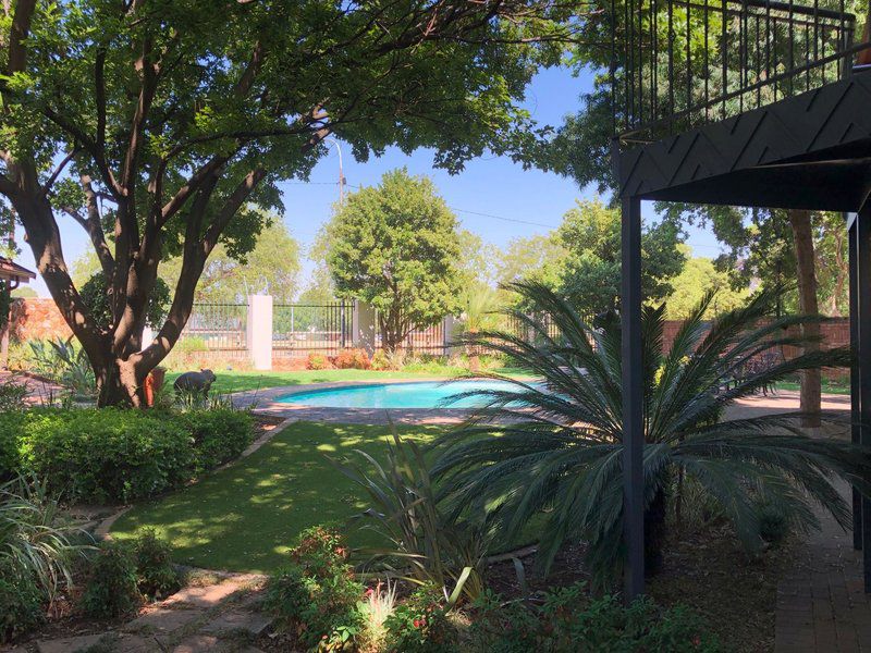 Colonial Guest House Irene Centurion Gauteng South Africa Palm Tree, Plant, Nature, Wood, Garden, Swimming Pool