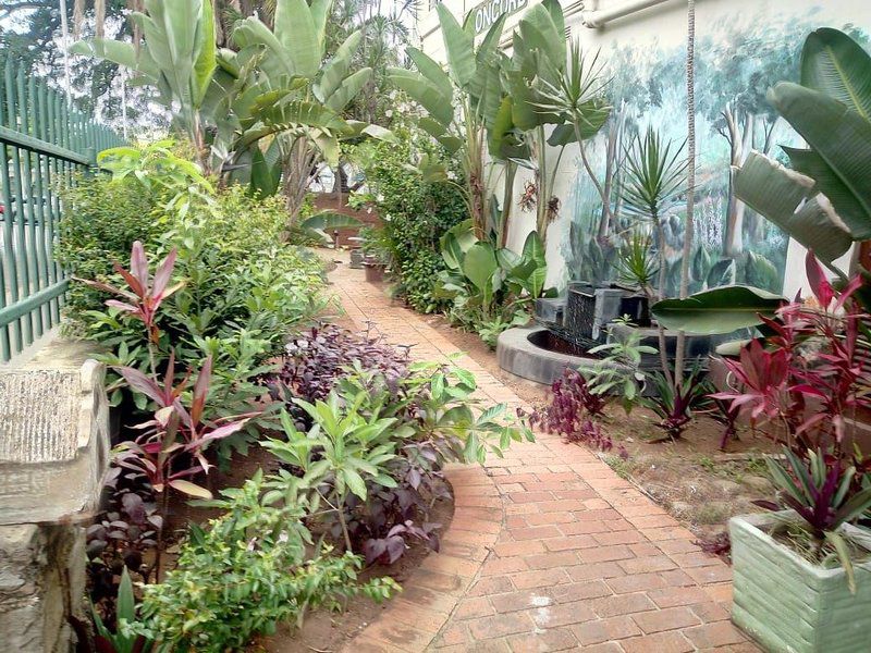 Concord Christian Guesthouse Morningside Durban Kwazulu Natal South Africa Plant, Nature, Garden
