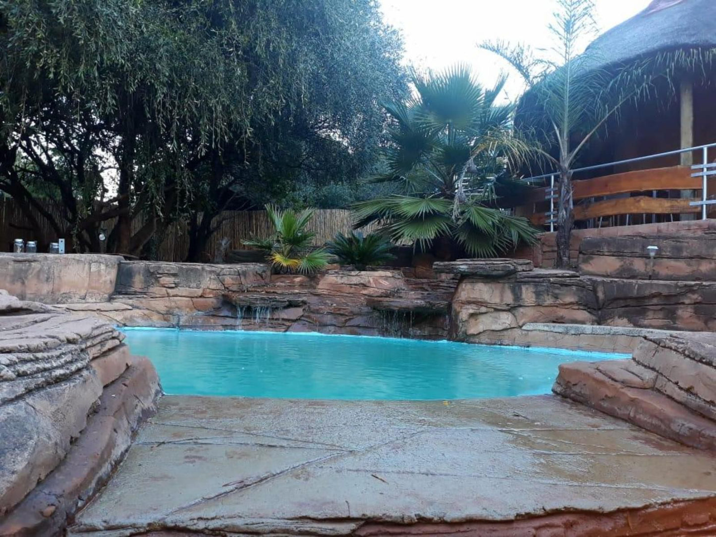 Concordiavoc Elandsdrift Gauteng South Africa Palm Tree, Plant, Nature, Wood, Garden, Swimming Pool