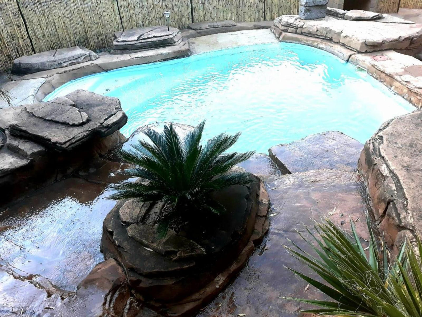 Concordiavoc Elandsdrift Gauteng South Africa Garden, Nature, Plant, Swimming Pool