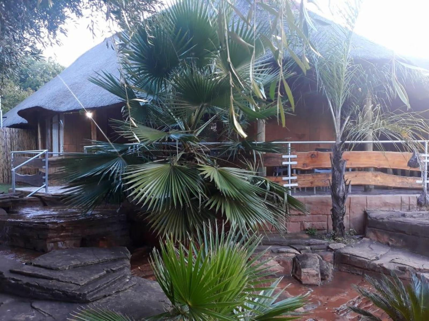 Concordiavoc Elandsdrift Gauteng South Africa Palm Tree, Plant, Nature, Wood