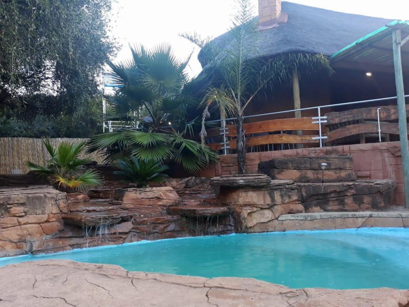 Concordiavoc Elandsdrift Gauteng South Africa Palm Tree, Plant, Nature, Wood, Garden, Swimming Pool