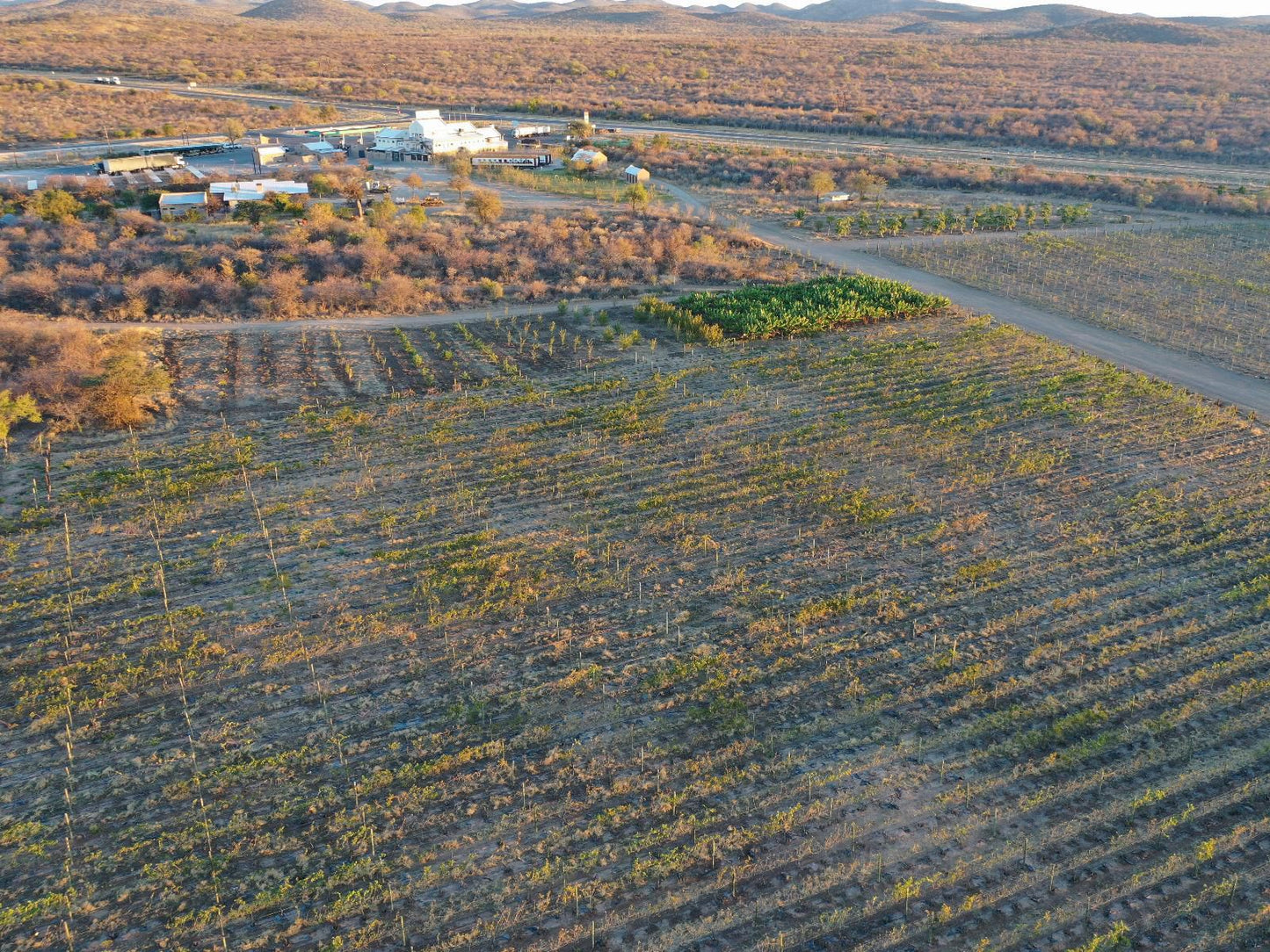 Conductors Inn, Field, Nature, Agriculture, Aerial Photography, Lowland