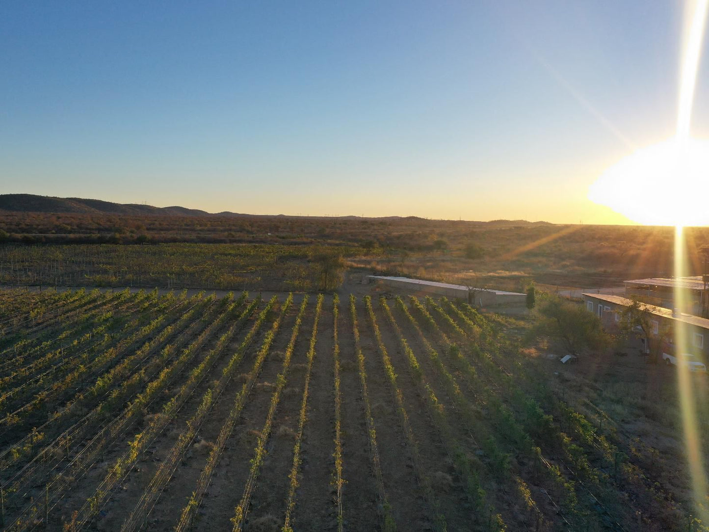 Conductors Inn, Double / Single, Field, Nature, Agriculture