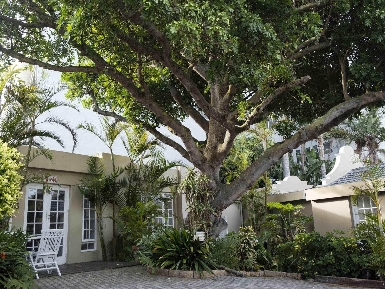 Conifer Beach House Humewood Port Elizabeth Eastern Cape South Africa House, Building, Architecture, Palm Tree, Plant, Nature, Wood