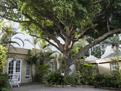 Conifer Beach House Humewood Port Elizabeth Eastern Cape South Africa House, Building, Architecture, Palm Tree, Plant, Nature, Wood