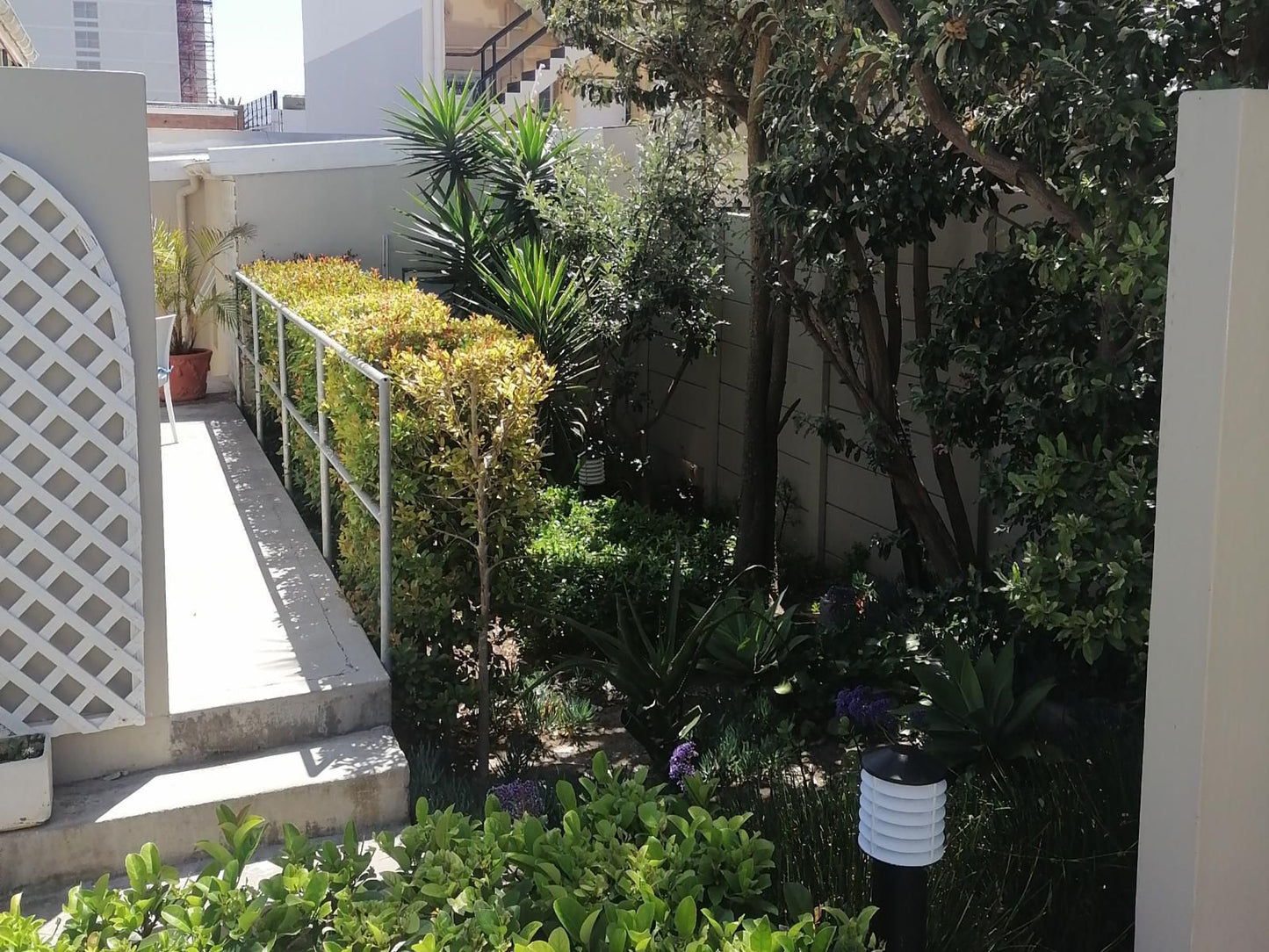 Conifer Beach House Humewood Port Elizabeth Eastern Cape South Africa Balcony, Architecture, Palm Tree, Plant, Nature, Wood, Garden