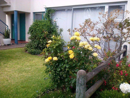 Constantiaberg Villa Constantia Cape Town Western Cape South Africa House, Building, Architecture, Plant, Nature, Rose, Flower, Garden