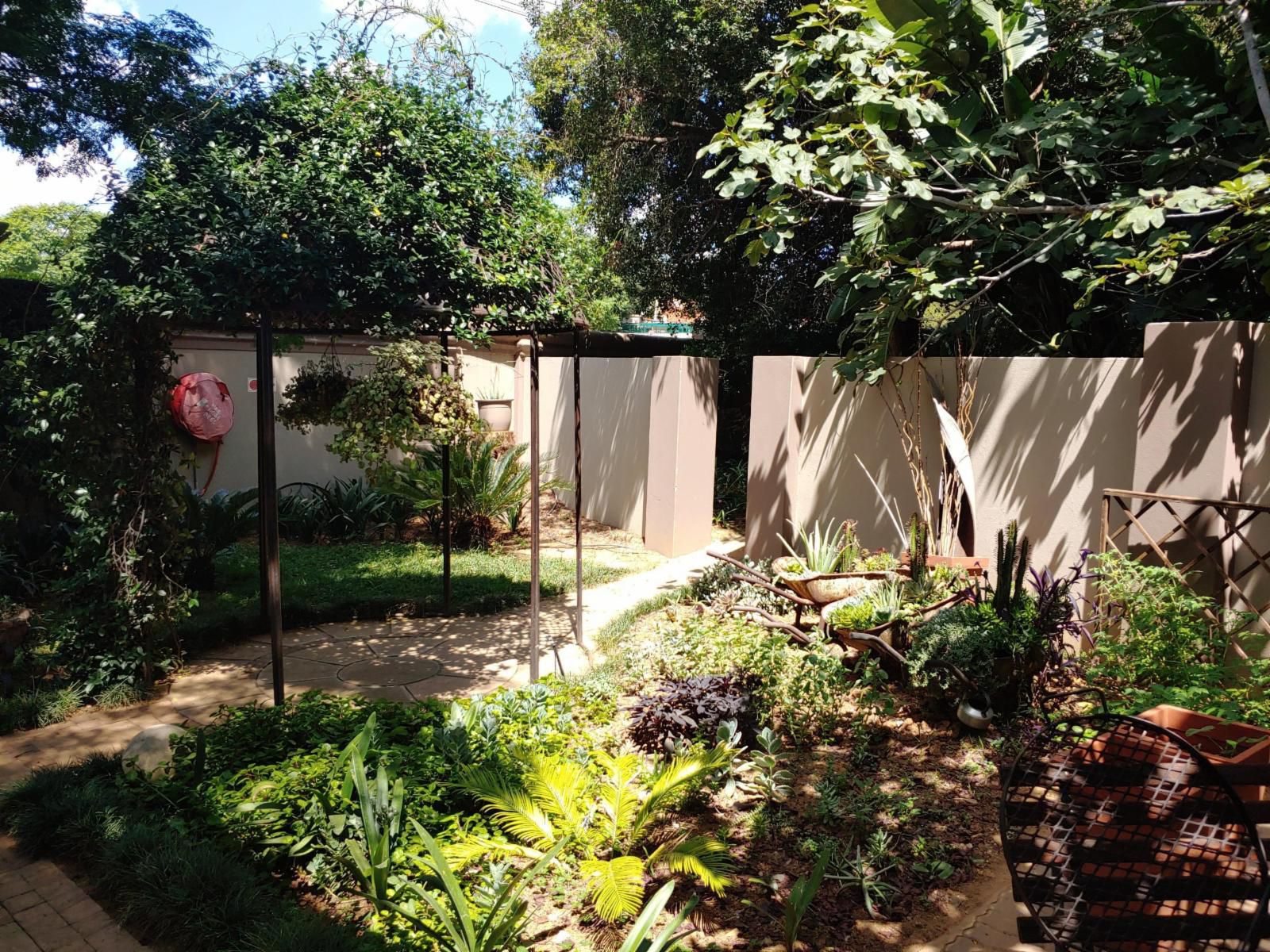 Constantia Manor Guest House And Conference Centre Constantia Park Pretoria Tshwane Gauteng South Africa Palm Tree, Plant, Nature, Wood, Garden