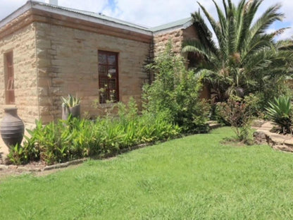 Conti Inn Guesthouse Queenstown Eastern Cape South Africa Palm Tree, Plant, Nature, Wood, Garden