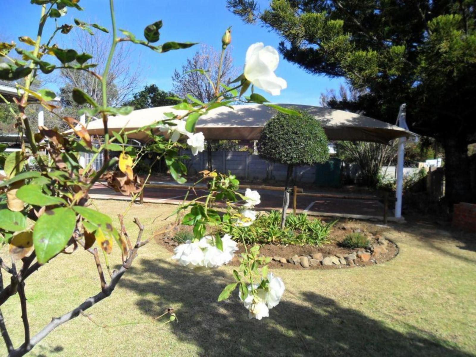Convent Hill Lodge Bandb Ladysmith Kwazulu Natal Kwazulu Natal South Africa Plant, Nature, Garden
