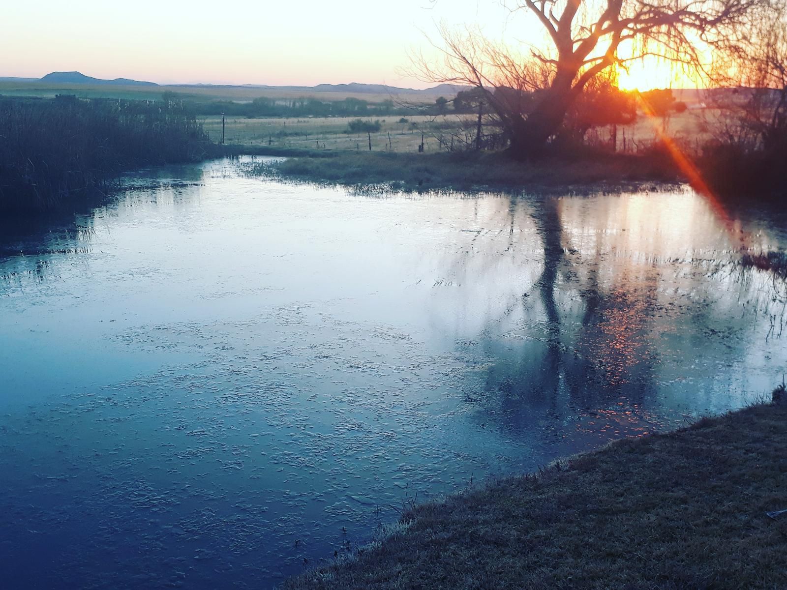 Conville Guest Farm Aliwal North Eastern Cape South Africa River, Nature, Waters